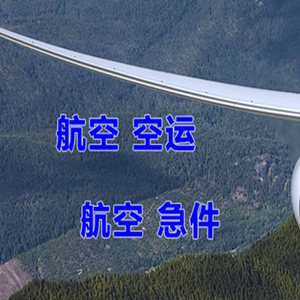 浪头航空托运快递-选东方航空和上海航空