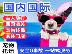 浪头航空托运国际宠物托运 【国